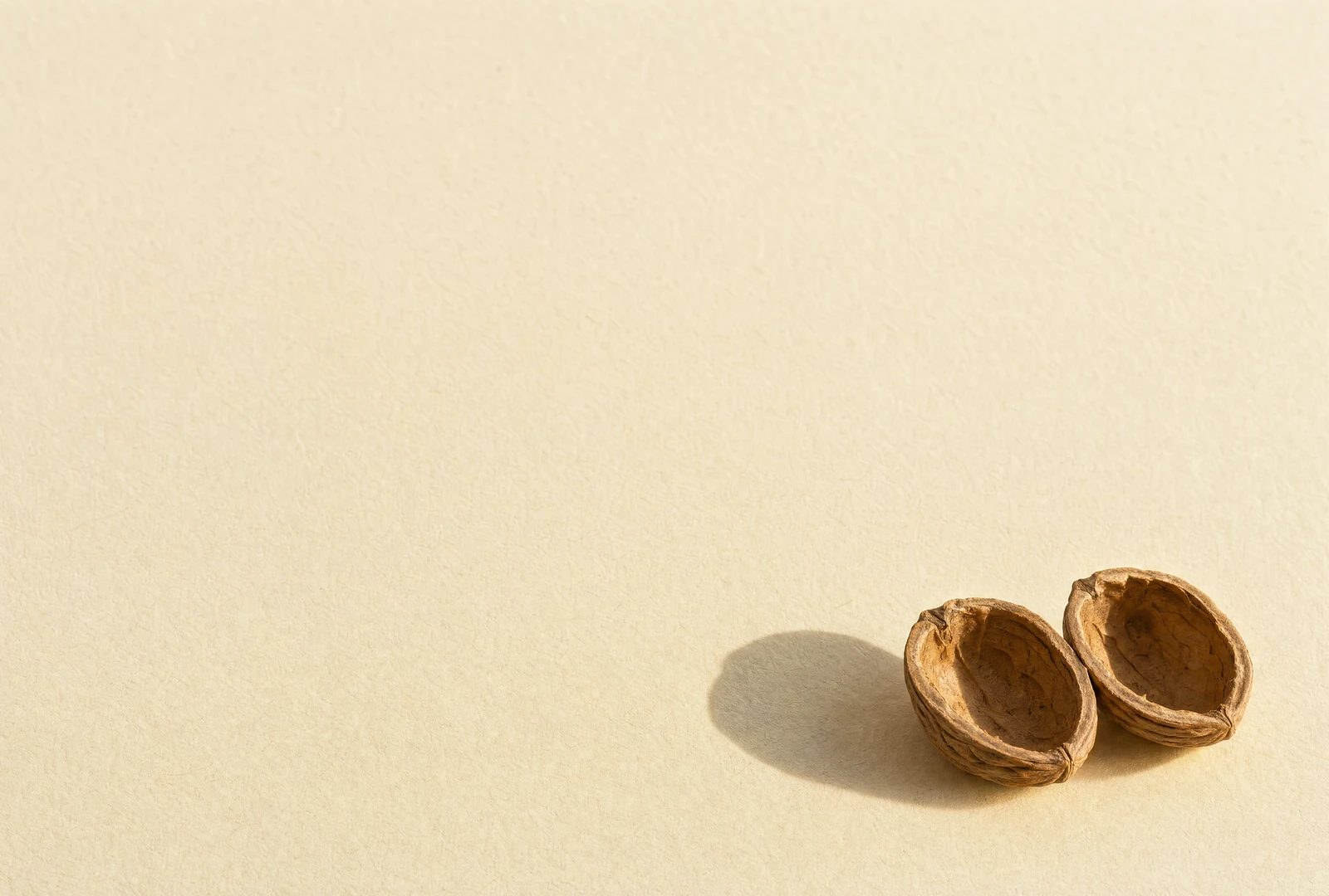 Two empty walnut-shell halves rest together on a pale surface, casting a rounded shadow.